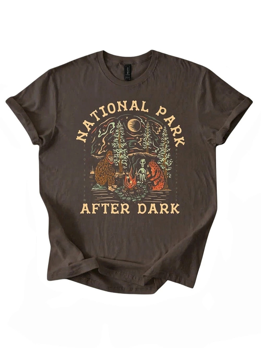Gildan Brown National Park After Dark Graphic Tee